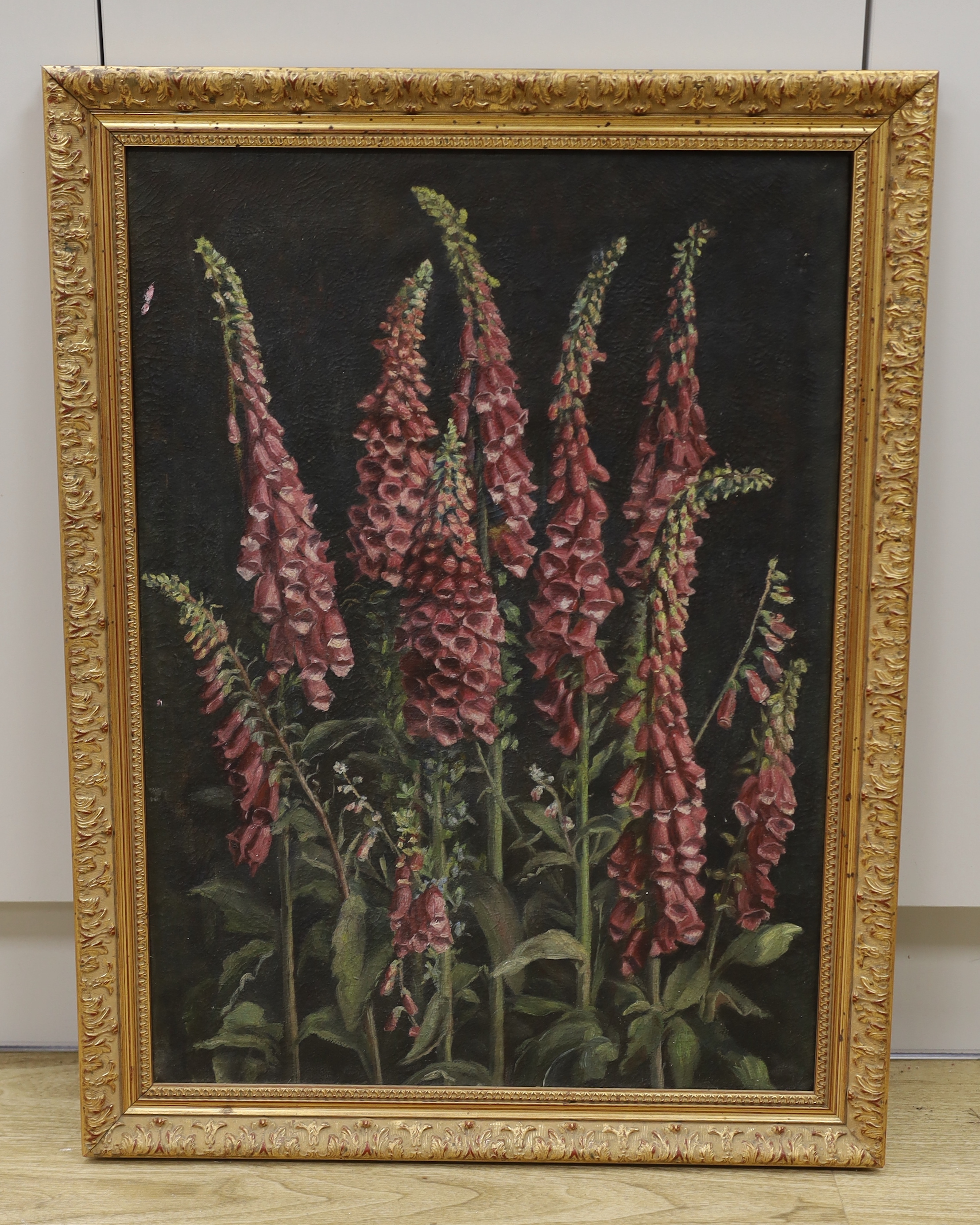 20th century School, oil on canvas, Study of foxgloves, 65 x 47cm
